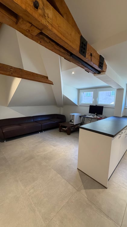 Magnifique appartement de 3.5 pièces en attique 2