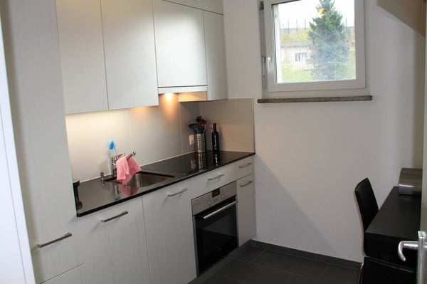 Helle, grosszügige 1 1/2-Zi-Whg (47 m2), sonniger Balkon mit Aussicht (Nr.22) 6