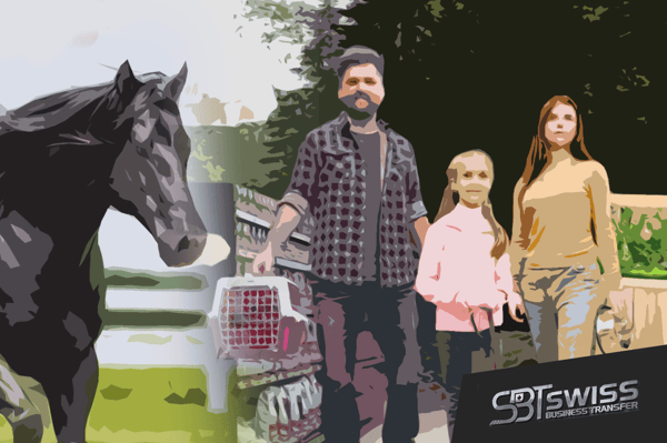 TICINO: VENDIAMO AZIENDA DISTRIBUZIONE PRODOTTI PER ANIMALI 8