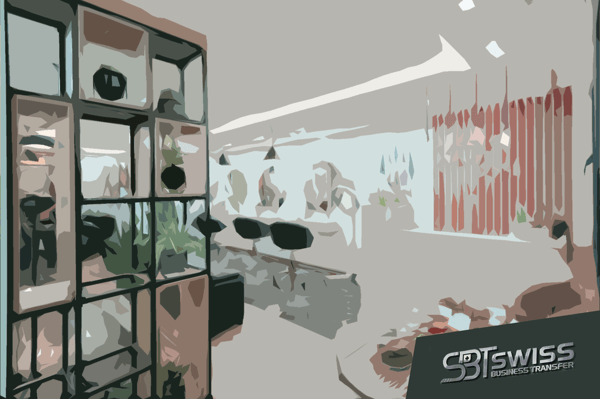 TICINO : VENDIAMO AZIENDA CONSOLIDATA NEL MONDO BEAUTY 7