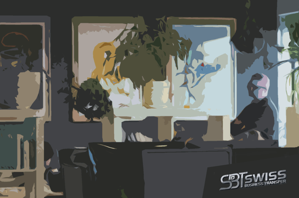 LUGANO : VENDIAMO RINOMATO CENTRO DI MEDICINA ESTETICA 6