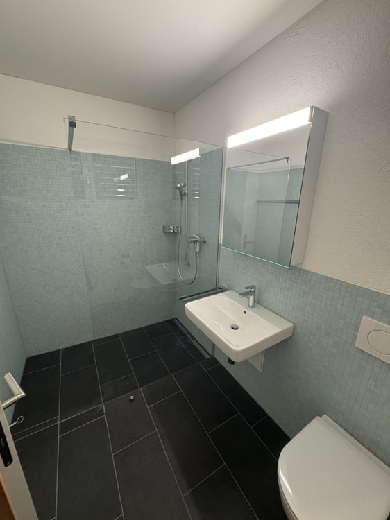 Moderne 2-Zimmer-Studio-Wohnung in Rebstein 3