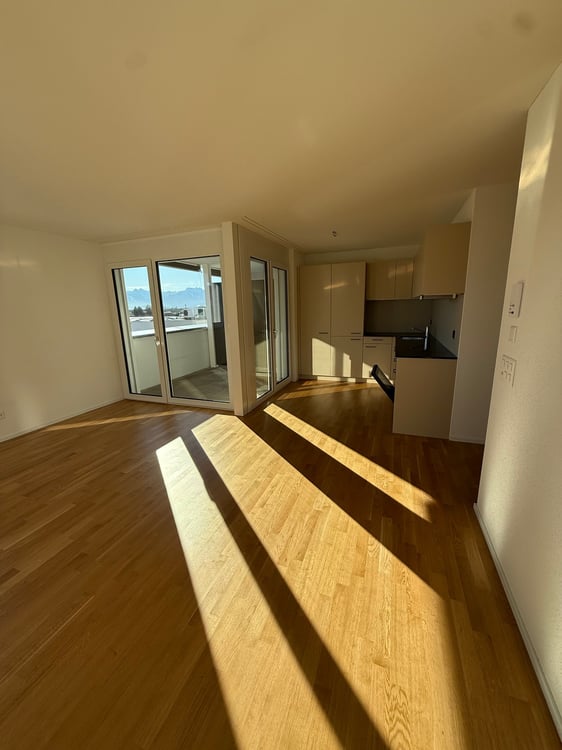 Moderne 1.5-Zimmer-Wohnung mit Bergblick in Rebstein 4