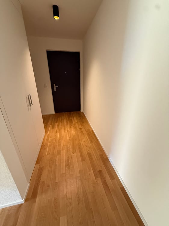 Moderne 1.5-Zimmer-Wohnung mit Bergblick in Rebstein 7
