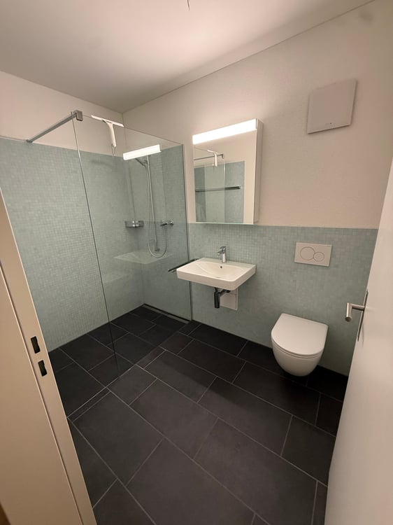 Moderne 1.5-Zimmer-Wohnung mit Bergblick in Rebstein 5