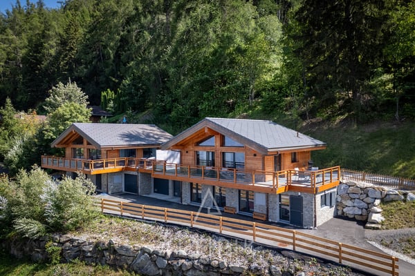 Un chalet récent (2021) avec les Alpes en toile de fond 3
