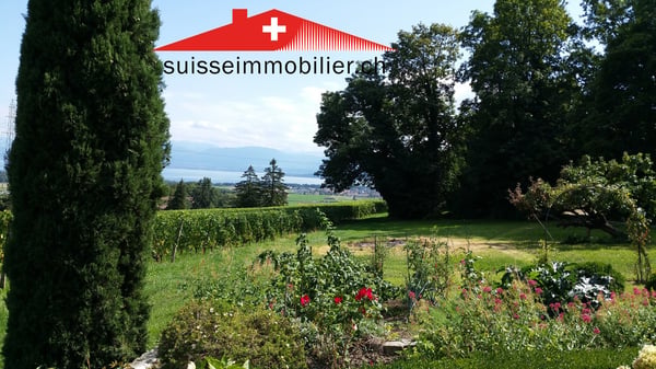 Vieux château avec un parc de 10 500 m², nouveau prix de vente ! 2