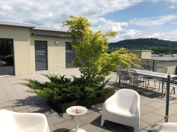 Aussergewöhnliche Attika-Duplexwohnung 2