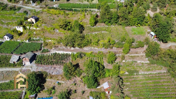 Ihr Rückzugsort zwischen Reben und Sonne  charmantes Rebland in Stald 1