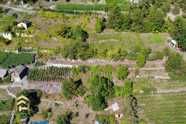 Ihr Rückzugsort zwischen Reben und Sonne  charmantes Rebland in Stald 3