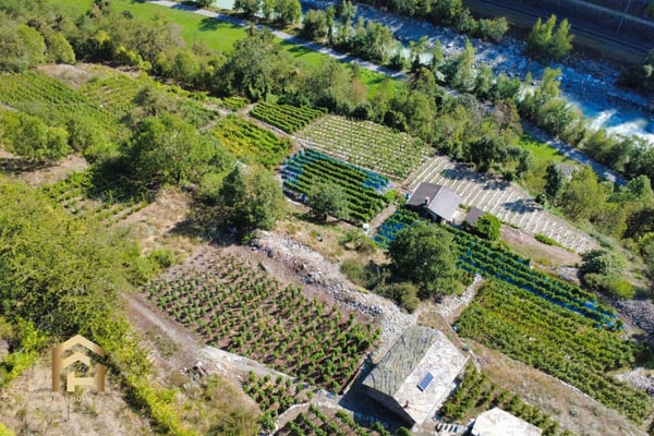 Ihr Rückzugsort zwischen Reben und Sonne  charmantes Rebland in Stald 5