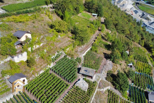 Ihr Rückzugsort zwischen Reben und Sonne  charmantes Rebland in Stald 4