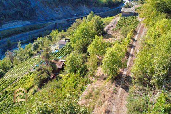 Ihr Rückzugsort zwischen Reben und Sonne  charmantes Rebland in Stald 6