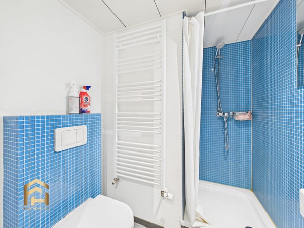 Charmante 1.5 ZWG in ruhiger Lage gepflegt, renoviert und zentral 9