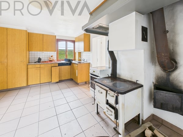 Maison de maître avec grange et grand terrain 4