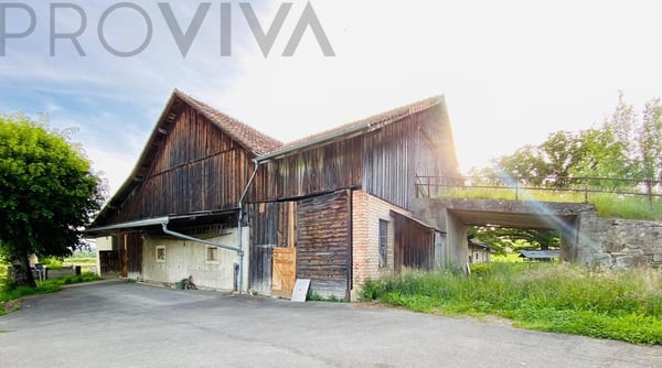 Maison de maître avec grange et grand terrain 2