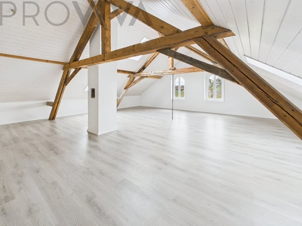 Maison de maître avec grange et grand terrain 5