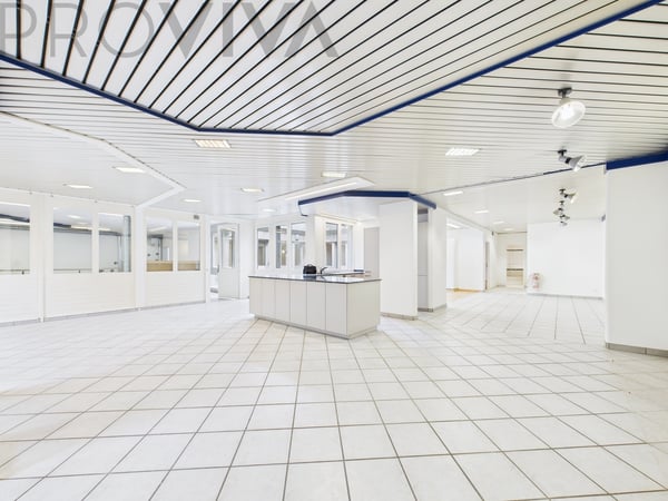 Vielseitig nutzbares Wohn- und Geschäftshaus mit Zukunftspotenzial 3