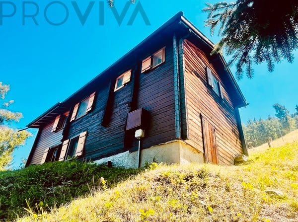 Urchig, gemütlich, ländlich - direkt an der Skipiste Unterbäch-Ginals 6