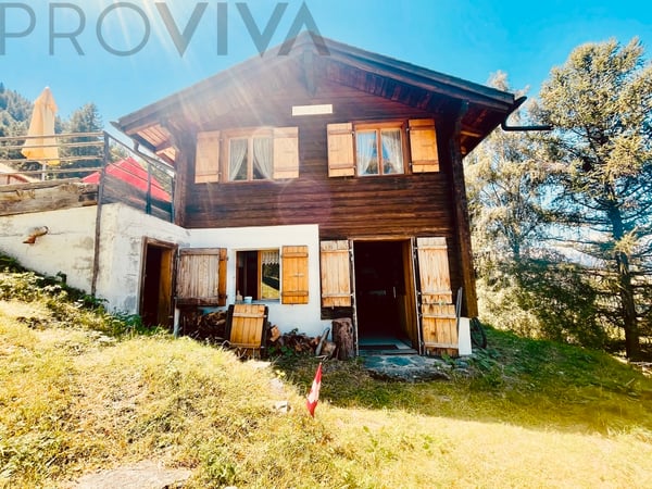 Urchig, gemütlich, ländlich - direkt an der Skipiste Unterbäch-Ginals 7