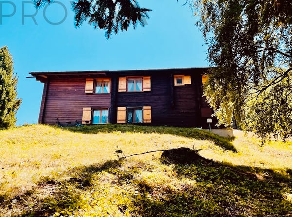 Urchig, gemütlich, ländlich - direkt an der Skipiste Unterbäch-Ginals 5