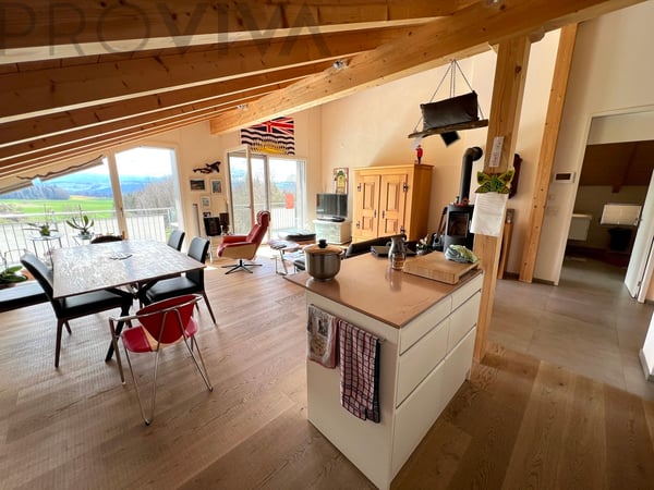 Helle und moderne Dachwohnung mit Alpenblick 1