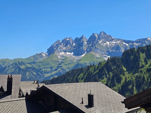 Ski-in/Ski-out-Chalet mit atemberaubendem Blick auf die Dents du Midi 2