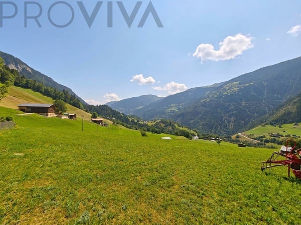 2'769 m² Bauland im Herzen des Goms 1