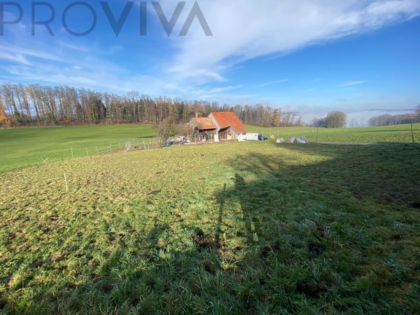 2600 m2 Grundstück renovationsbedürftiges Haus mit Potential 2