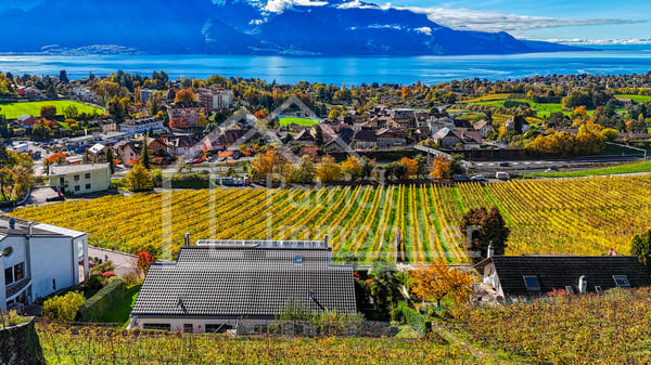 Villa familiale avec jacuzzi et vue panoramique sur le lac! 12