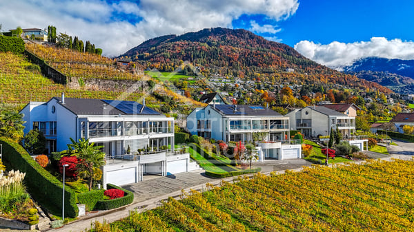 Villa familiale avec jacuzzi et vue panoramique sur le lac! 3