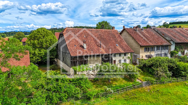 Ferme rénovée de caractère avec fort potentiel constructif 1