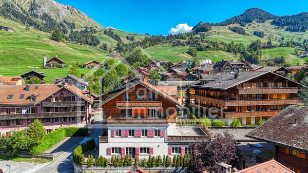 Spacieux appartement de 3.5 pièces avec terrasse de 100 m² 1