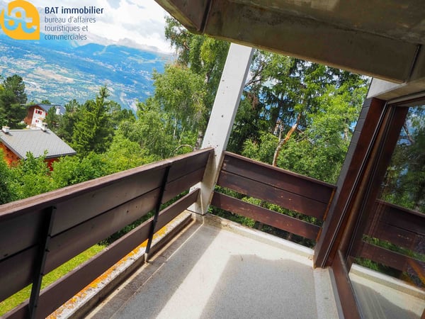 Appartement lumineux de 2 pièces à Vercorin 5