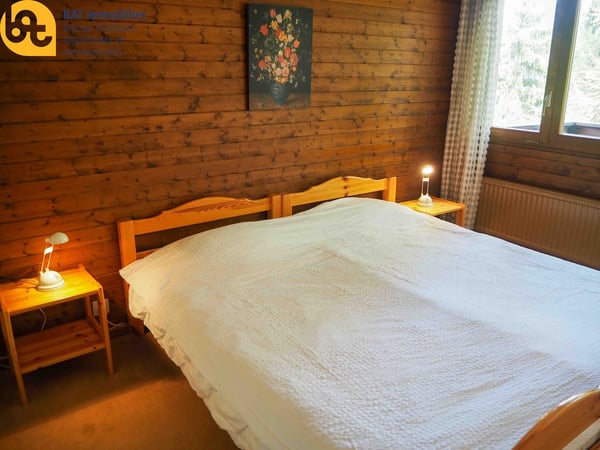 Appartement lumineux de 2 pièces à Vercorin 7