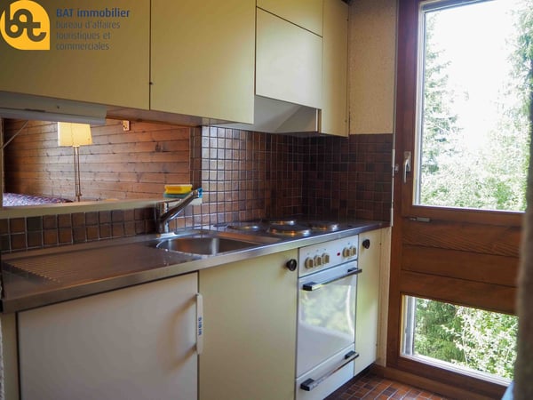 Appartement lumineux de 2 pièces à Vercorin 6