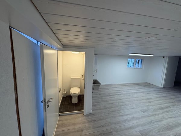 Lagerraum / Bastelraum, / Hobbyraum 15m2, Teppich renoviert 3