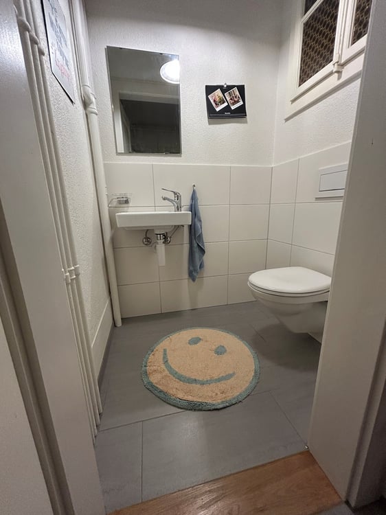 Zentral gelegene 1-Zimmerwohnung zu vermieten 4