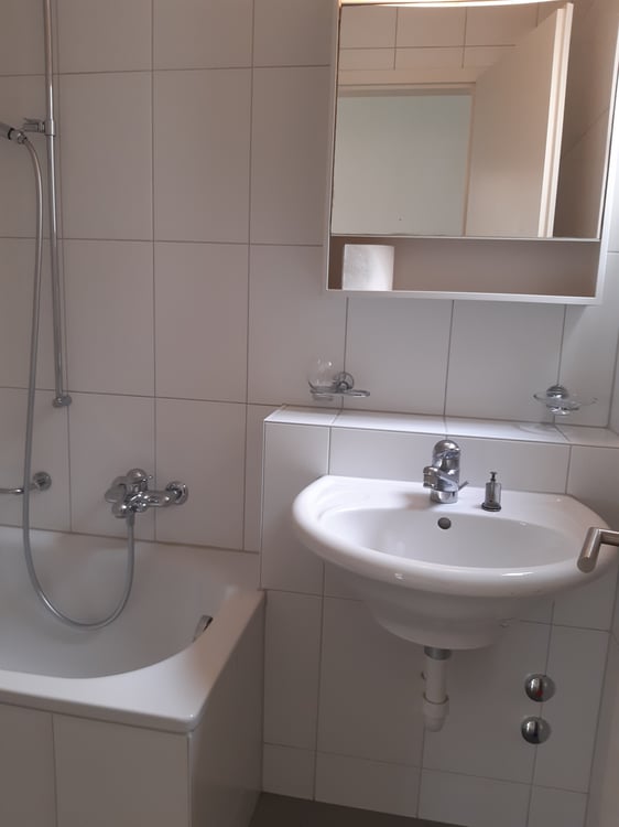 Schöne und geräumige 3-Zimmerwohnung zu vermieten 3