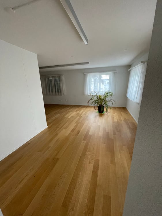 Büro-/ Gewerberäumlichkeiten im Zentrum von Schötz 10