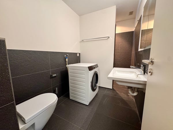 Parterrewohnung / Einliegerwohnung mit grossem Sitzplatz, Nähe Bahnhof 10