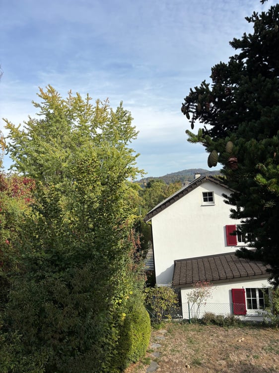 5-Zimmer-Haus nahe Bruderholz 7
