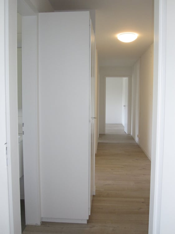 2019 renovierte 3 1/2 Zi-Wohnung mit grossem Balkon und Weitsicht 6