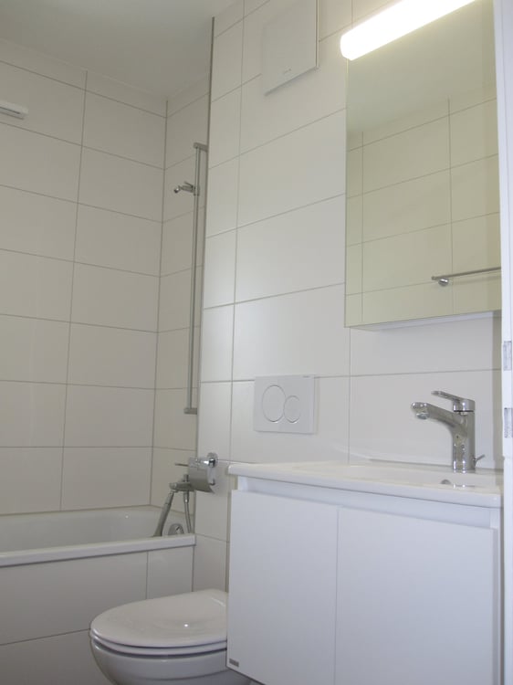 2019 renovierte 3 1/2 Zi-Wohnung mit grossem Balkon und Weitsicht 13
