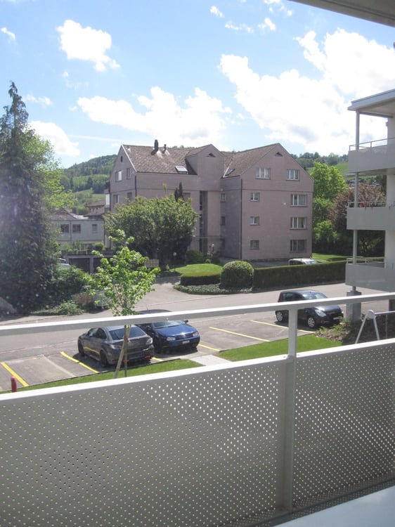 2019 renovierte 3 1/2 Zi-Wohnung mit grossem Balkon und Weitsicht 4