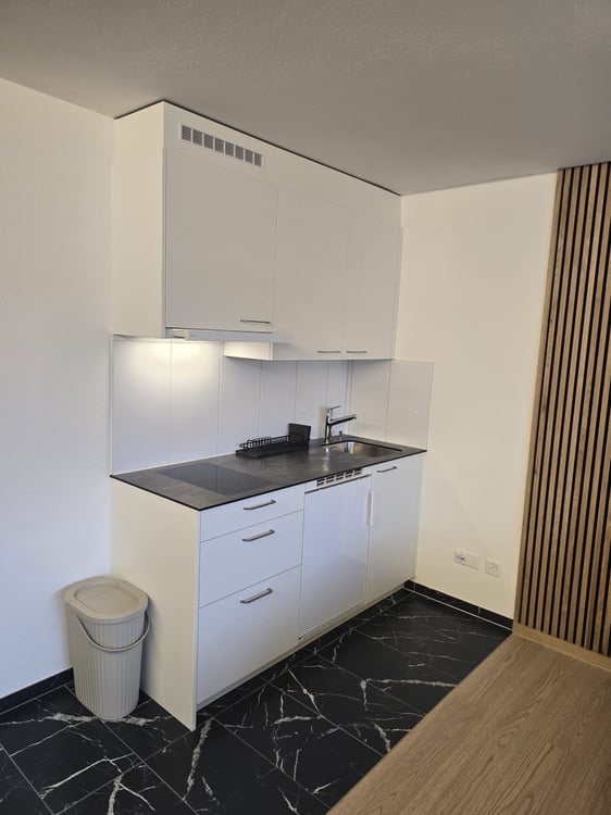 Modernes 1-Zimmer-Studio in Niederwil – neu renoviert 2026 3