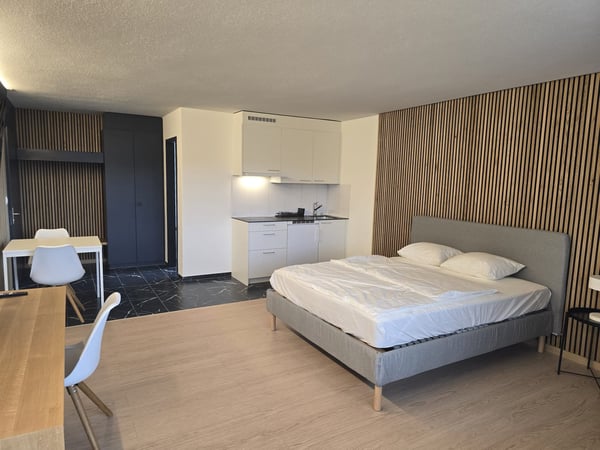 Modernes 1-Zimmer-Studio in Niederwil – neu renoviert 2026 2