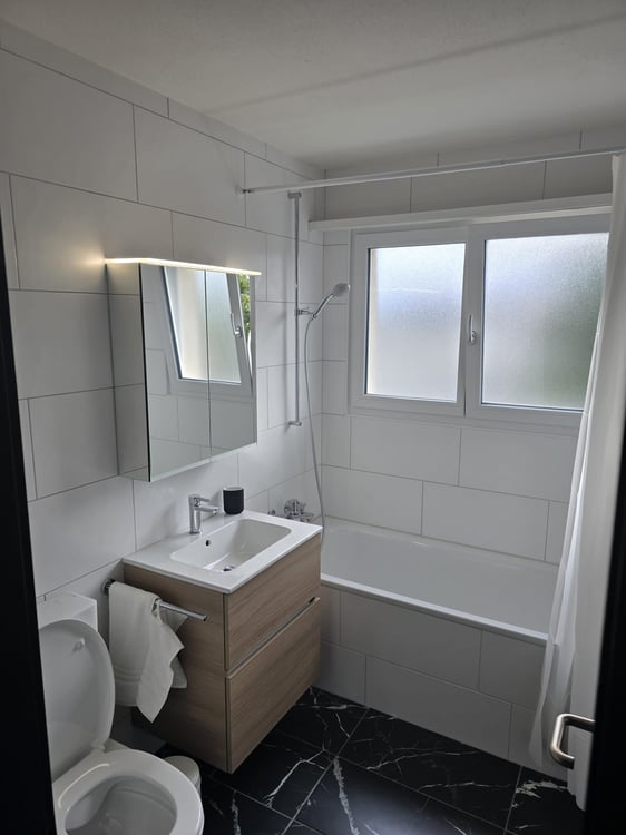 Modernes 1-Zimmer-Studio in Niederwil – neu renoviert 2026 6