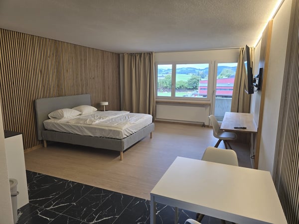 Modernes 1-Zimmer-Studio in Niederwil – neu renoviert 2026 4