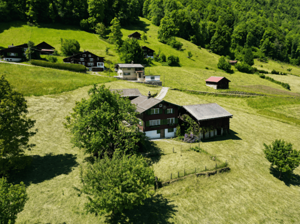 Nidfurn